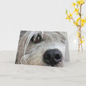 Hundefreund Nahe Geburtstagskarte Karte (Gelbe Blume)