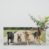 Hundefreunde Einladung (Stehend Vorderseite)