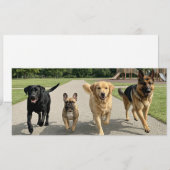 Hundefreunde Einladung (Vorne/Hinten)