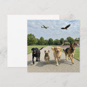 Hundefreunde Einladung (Vorne/Hinten)