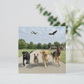 Hundefreunde Einladung (Stehend Vorderseite)