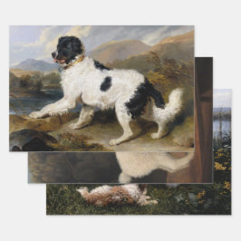 Hundefreunde (Hunde und Hunde) Auswahl Geschenkpapier Set