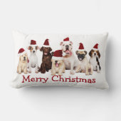 Hundefreunde, Niedliche Weihnachtshunde, Lendenkissen (Vorderseite)