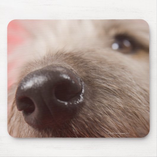 Hundefüße Mousepad (Vorne)