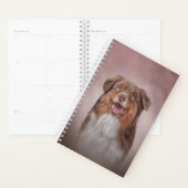Hundefutter Planer (Anzeige)