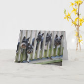 Hundegang Karte (Gelbe Blume)