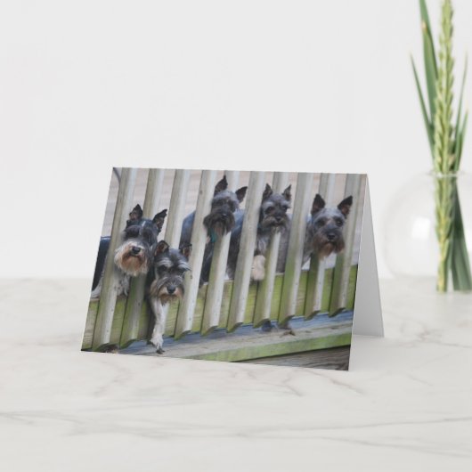 Hundegang Karte (Vorderseite)