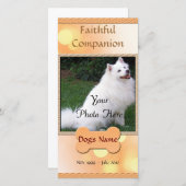 Hundegedächtnis Ankündigung (Vorne/Hinten)