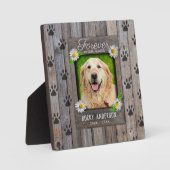 Hundegedankenwahre Fotoplatte (Vorderseite)