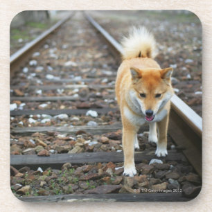 Hundegehende Bahn Untersetzer