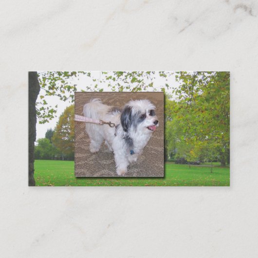 Hundegehende Visitenkarte (Vorderseite)