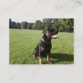 Hundegehende Visitenkarte (Rückseite)