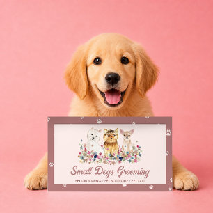 Hundegehorsamsschule für Welpenklassen Visitenkarte