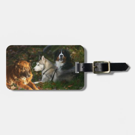 HundeGepäckanhänger Gepäckanhänger (Vorderseite horizontal)