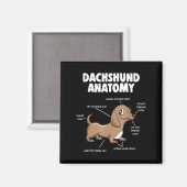 Hundegeschenk | Anatomie Dackel Funny Weiner Magnet (Vorderseite/Rückseite)