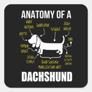 Hundegeschenk   Anatomie der Dackel Quadratischer Aufkleber