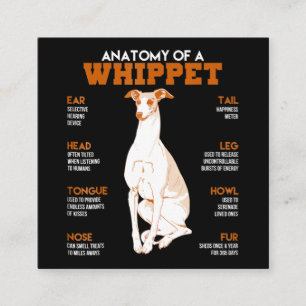 Hundegeschenk  Anatomie eines Hundes oder lustiges Quadratische Visitenkarte