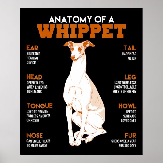 Hundegeschenk | Anatomie eines Peitschenhundes an Poster (Vorne)
