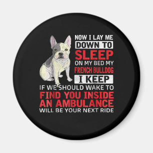 Hundegeschenk Ich schlafe in meinem Bett, mein f Magnet