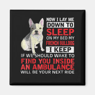 Hundegeschenk Ich schlafe in meinem Bett, mein f Magnet
