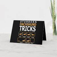 Hundegeschenk | Tricks für stubgeborene Dackeln