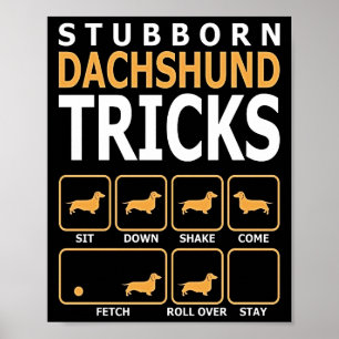 Hundegeschenk  Tricks zur Dackel Poster