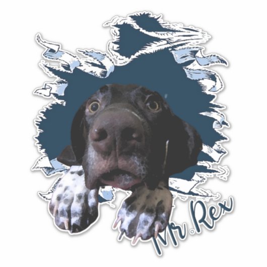 Hundegesicht Aufkleber (Vorderseite)