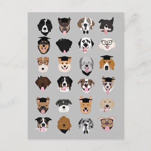 Hundegesichter zum Abschluss Postkarte (Vorderseite)