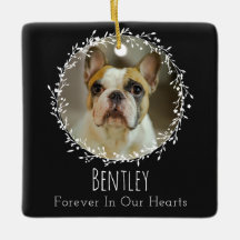 Hundegeweih-Verlust - Zwei-Foto-Kranz