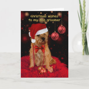 Hundegroomer-Weihnachtskarte, Grenze Terrier Feiertagskarte