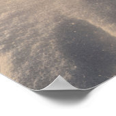 Hundegruppe, die auf der Schneeschuhpiste läuft Poster (Ecke)