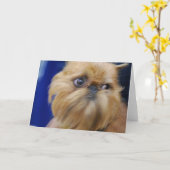 Hundegruß-Karte Brüssels Griffon Karte (Gelbe Blume)