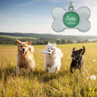 Hundehalsband-ID-Tag für Haustiere | Anpassbarer S