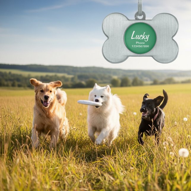 Hundehalsband-ID-Tag für Haustiere | Anpassbarer S Tiermarke (dog tag keychain)