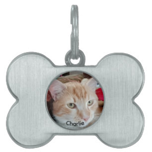Hundehalsband mit Foto und Namen im Knochenrahmen Tiermarke