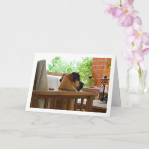 Hundehalterung im Stuhlportrait Karte