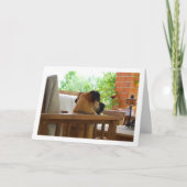 Hundehalterung im Stuhlportrait Karte (Vorderseite)