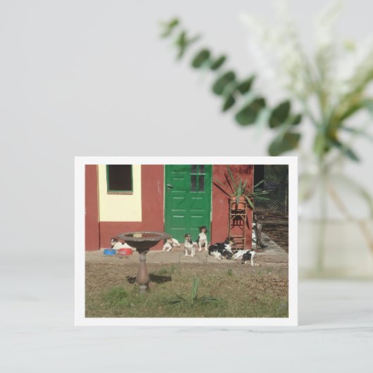 Hundehaus Postkarte (Stehend Vorderseite)