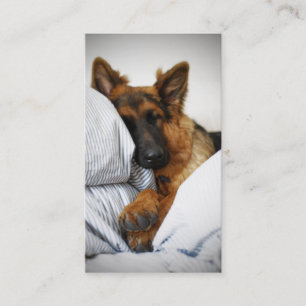 Hundehotel Visitenkarte