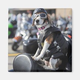 Hundehund auf Motorrad-Foto Magnet