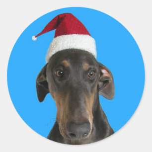 Hundehund in der Weihnachtsmannmütze Weihnachtsauf Runder Aufkleber