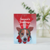 Hundehund sitzt im Schnee und trägt Rentiere Postkarte (Stehend Vorderseite)