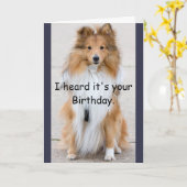 Hundejahr-alles Gute zum Geburtstag Karte (Gelbe Blume)