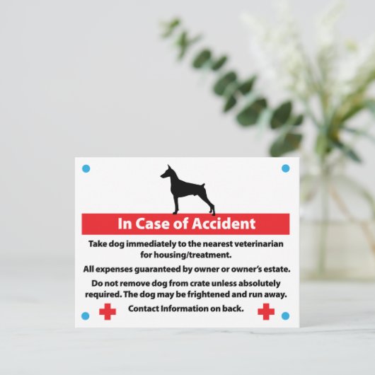 Hundekäfigkarte im Notfall: Doberman Postkarte (Stehend Vorderseite)