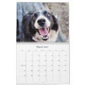 Hundekalender 2026 kalender (Mär 2027)