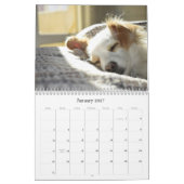 Hundekalender 2026 kalender (Jan 2027)