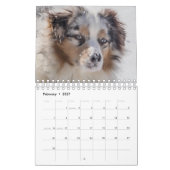 Hundekalender Kalender (Feb 2027)