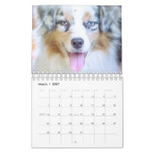 Hundekalender Kalender (Mär 2027)
