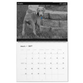Hundekalender Kalender (Mär 2027)