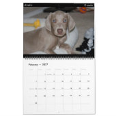 Hundekalender Kalender (Feb 2027)